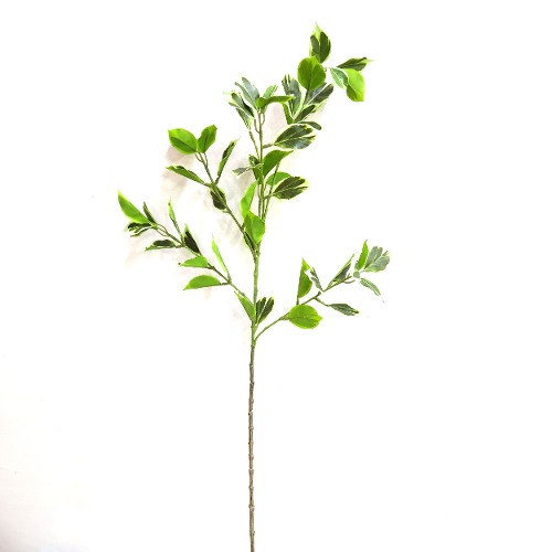 벤자민 잎 가지 -80cm